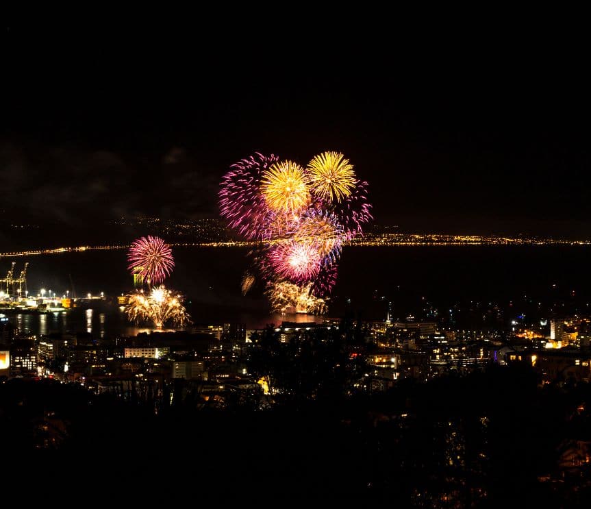 Celebrating the inaugural Matariki public holiday!